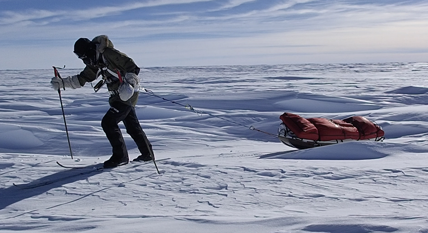 sled hauler in open arctic scene